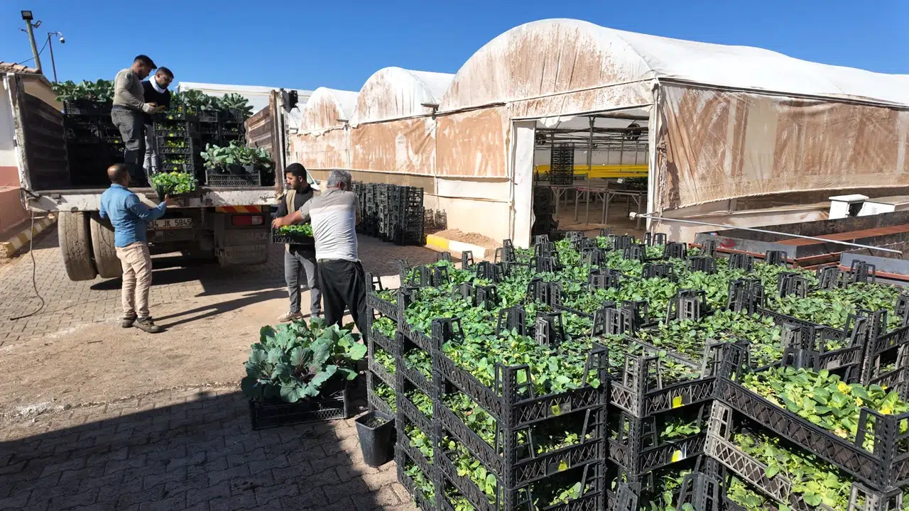 Büyükşehir’den Yeşeren Tasarruf