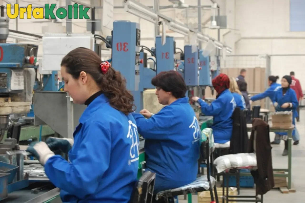 Kadınların İhracata Katkısı 60,1 Milyar Dolara Yükseldi
