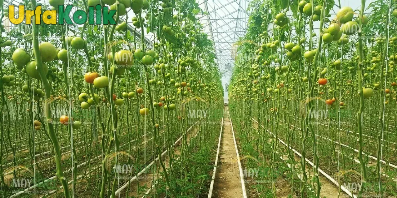 Şanlıurfa'da Yeni Sezon Yaklaşırken Kapanlar Döşendi