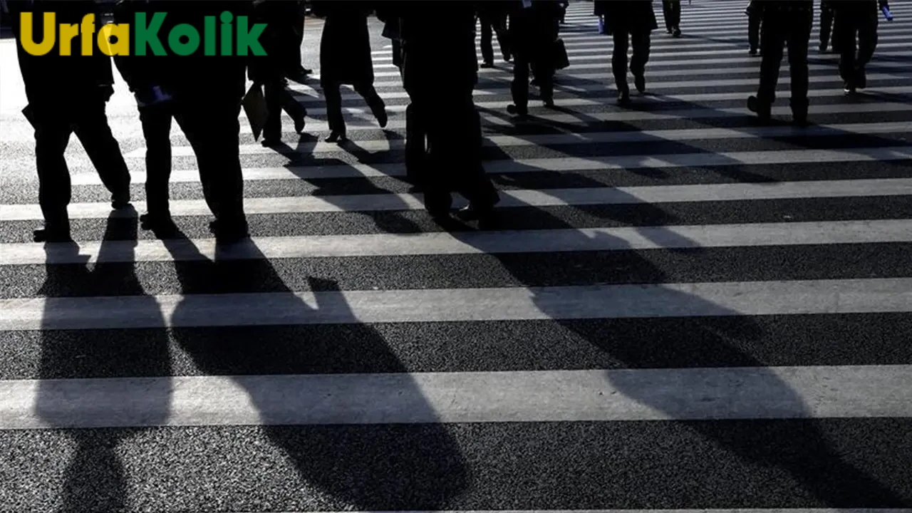 TÜİK verilerine göre 2024'te işsizlik, Şanlıurfa'da azaldı.