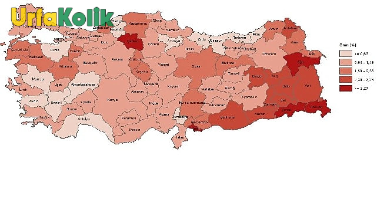 Beşeri Kalkınma Endeksi’nde İller Arasında Büyük Farklılıklar Ortaya Çıkıyor