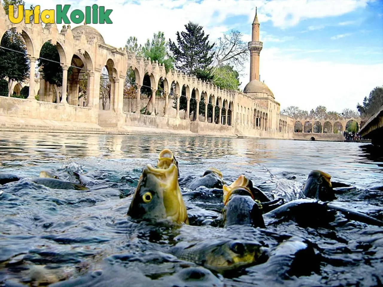 Balıklıgöl’de Yaşandığı Söylenen Mucizeler