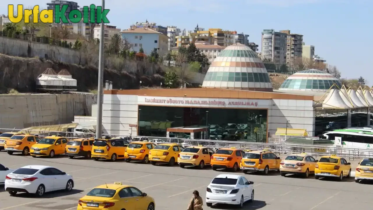 Şanlıurfa'daki otobüs firmaları artık daha fazla sefer düzenleyecek!