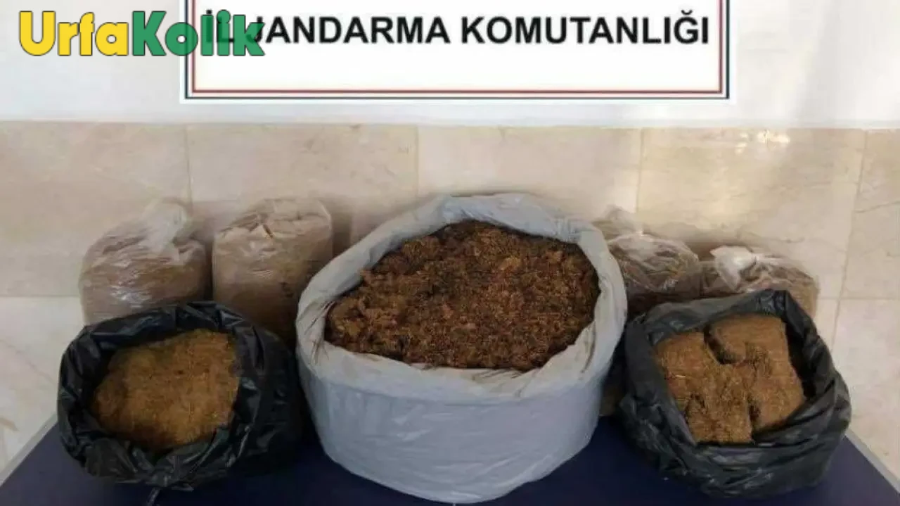 Siverek ve Viranşehir'de Kaçak Silahlar Ele Geçirildi: İlginç Operasyon