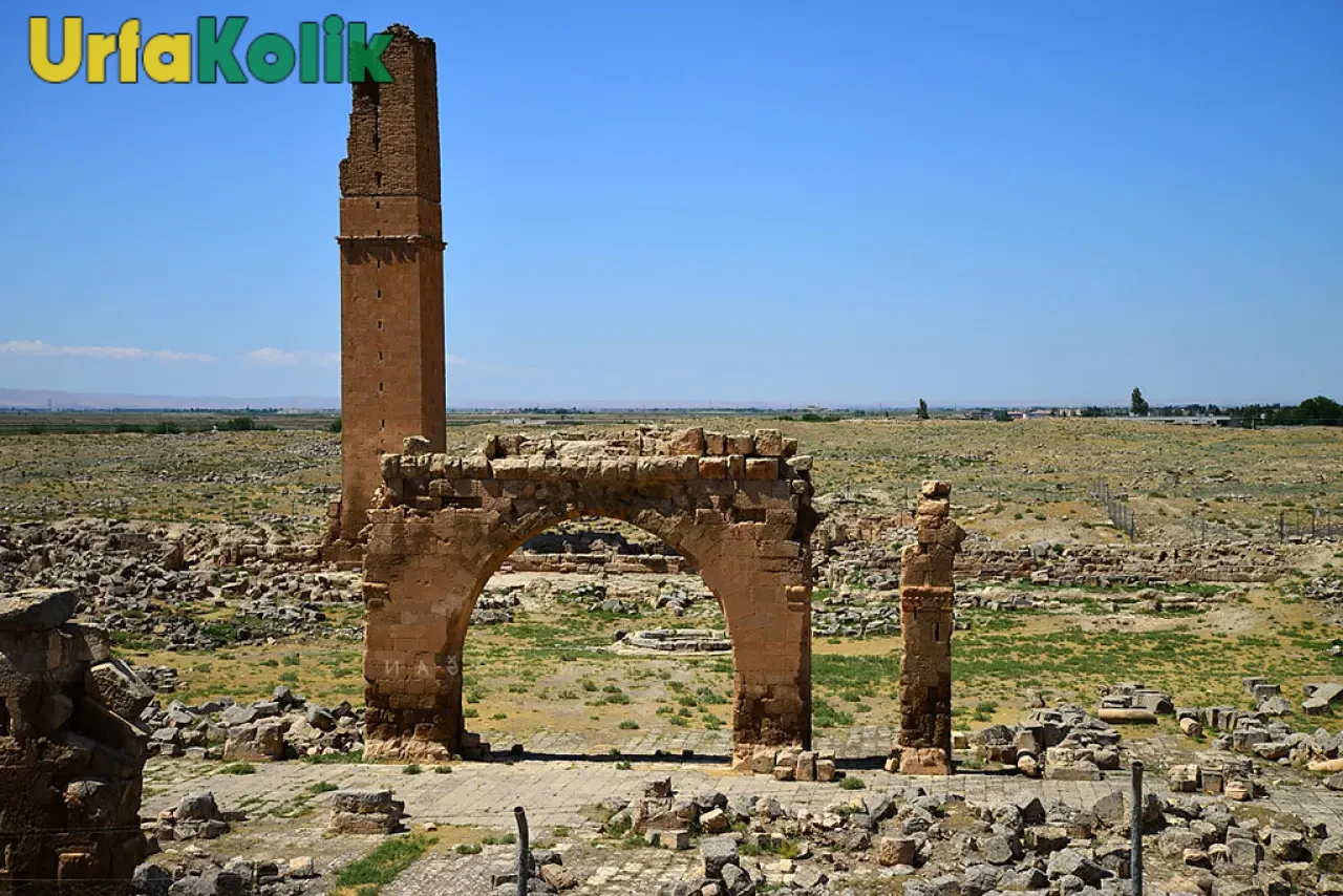 Harran Ovası ve Tarihi Kalıntıları