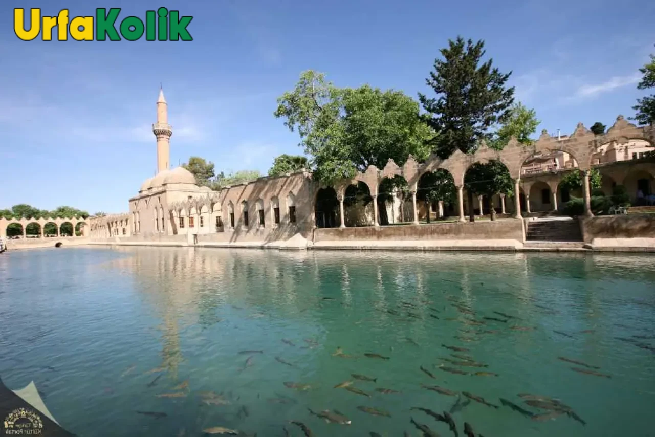 Balıklıgöl'de Gizemli Keşif: Gölde Yaşayan Yarı Kadın Yarı Balık Tanrıça!