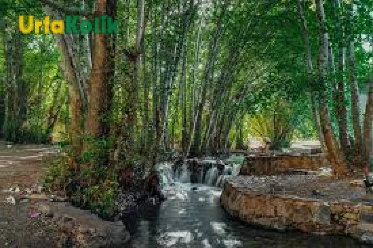 Şanlıurfa’nın En İyi Piknik Alanları