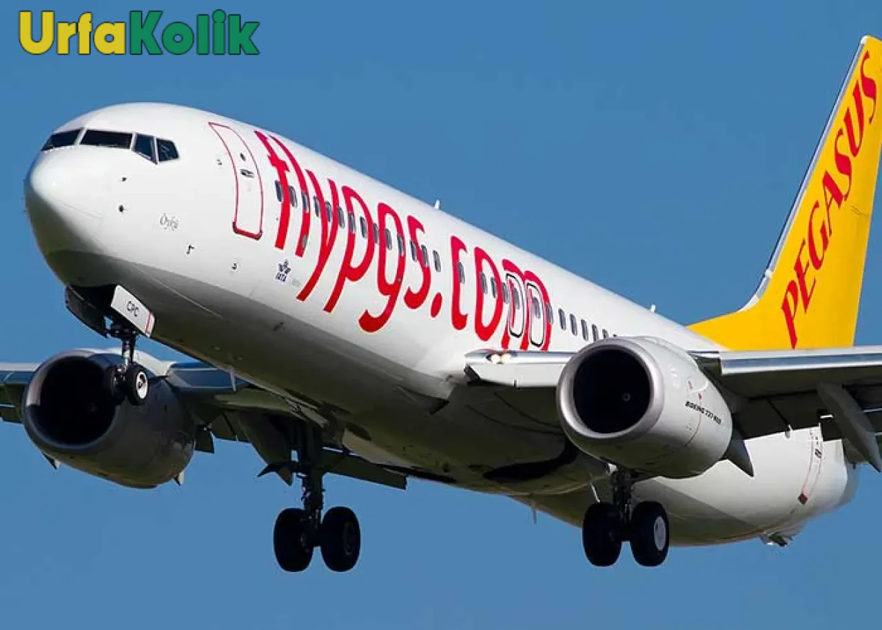 Pegasus Hava Yolları, devlet teşvikleriyle 100 yeni uçak satın aldı; 44'ü "bedelsiz" alındı.