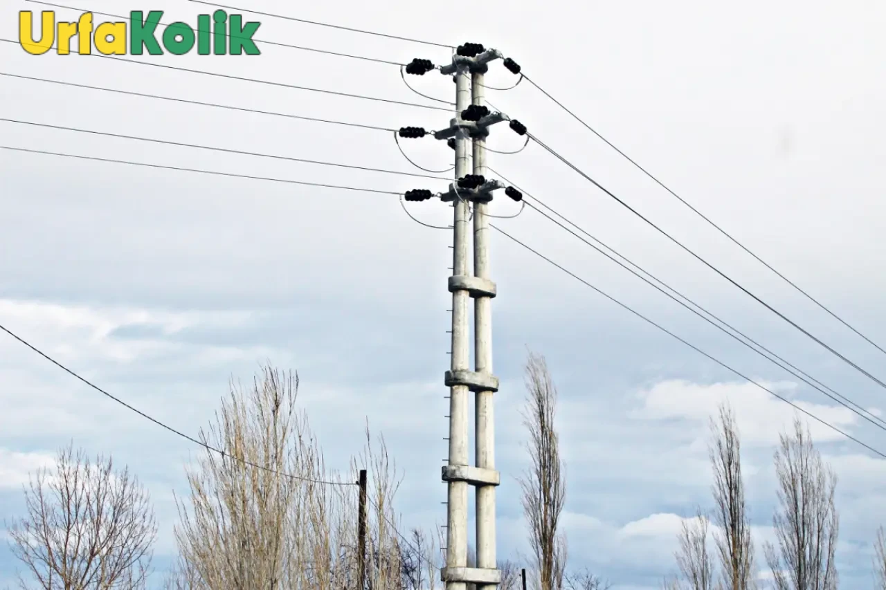 Harran'da Elektrik Arızasını Bahane Eden Adam Aracı Kırdı, Gözaltına Alındı