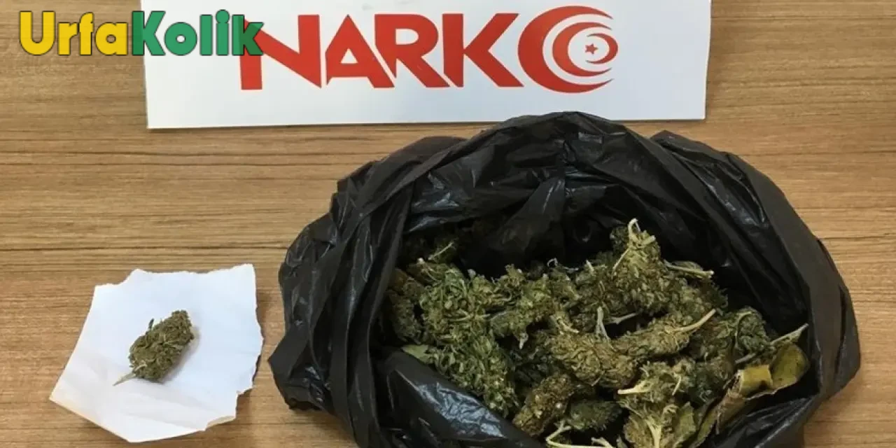 Bakanın Açıklamasına Göre Zehir Ticaretine Önemli Darbe Vuruldu!