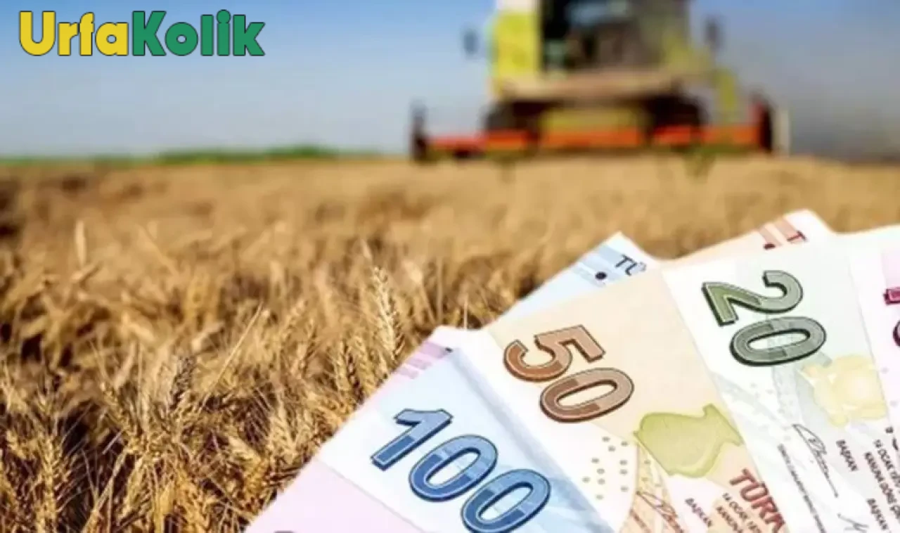 Tarım ve Orman Bakanlığı, destekleme ödemelerini bugün çiftçilerin hesaplarına aktarıyor.