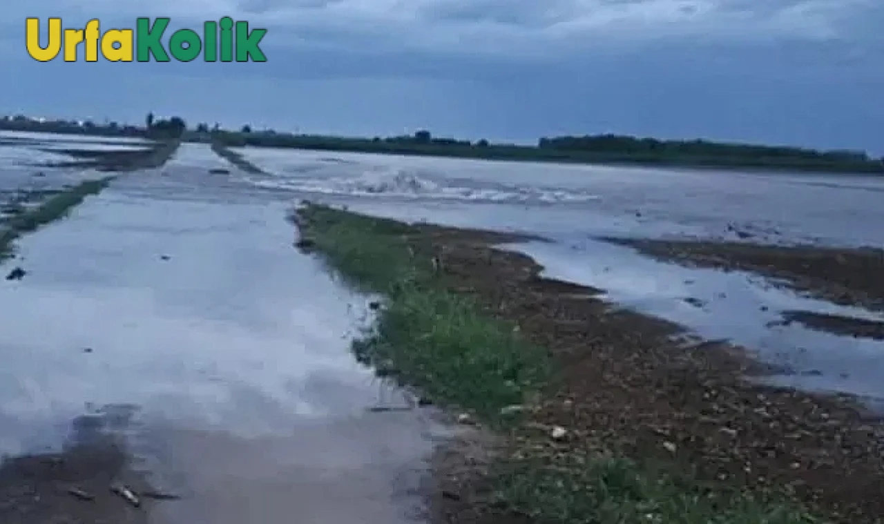 Boztepe köyünde DSİ sulama borusu patladı, tarlalar sular altında!