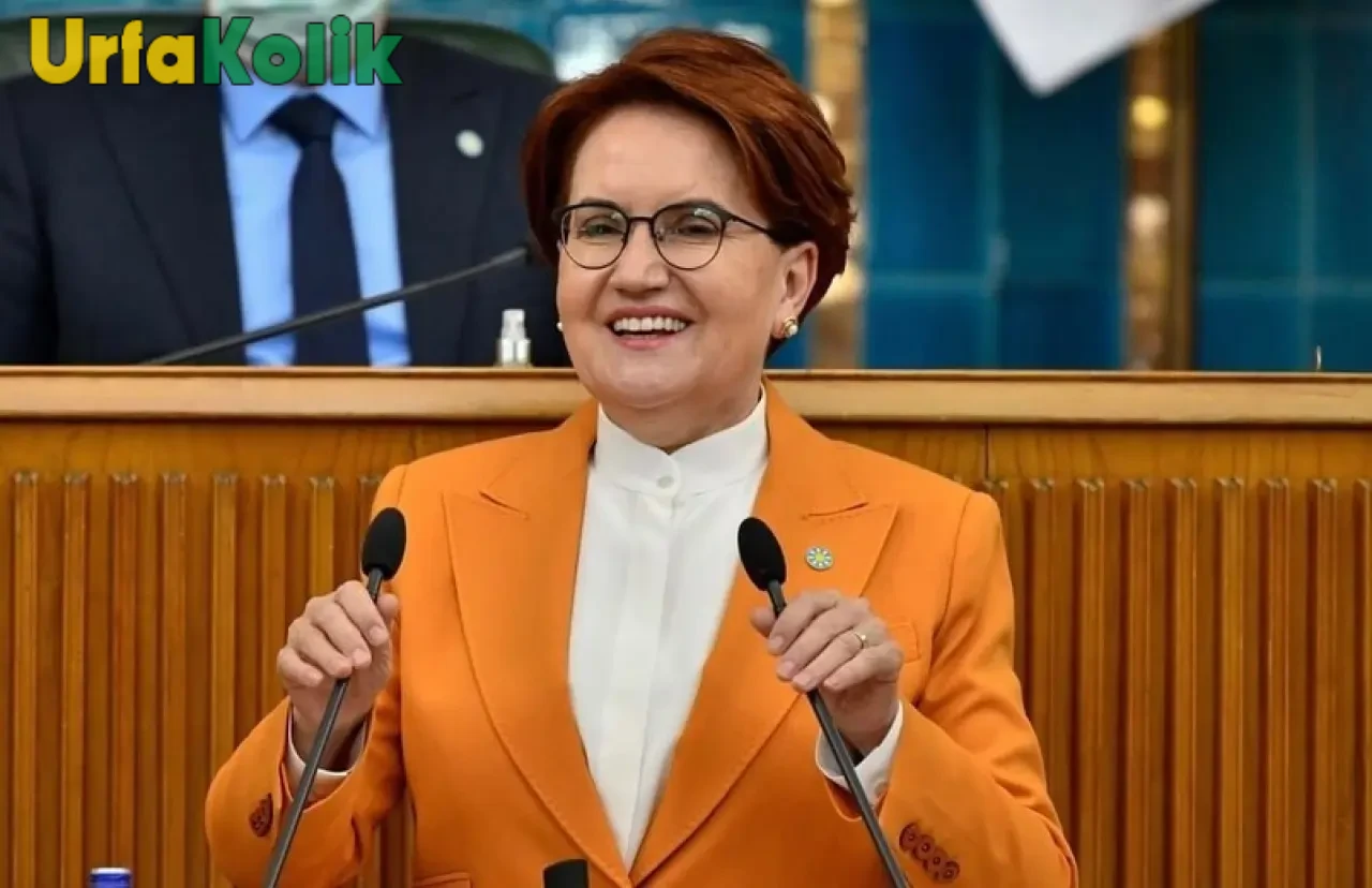 Meral Akşener Kimdir?