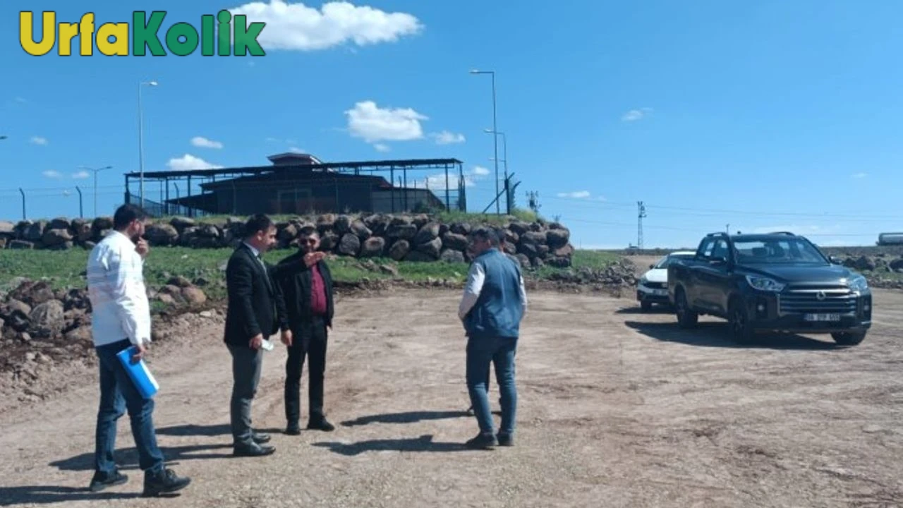 Siverek'e Doğal Yaşam Alanı Müjdesi: 12 Bin Metrekarelik Yeşil Alan Kuruluyor!