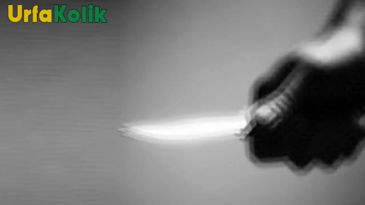 Sakarya'da damat kayınpederini öldürdü! Jandarma olayla ilgili geniş çaplı inceleme başlattı.