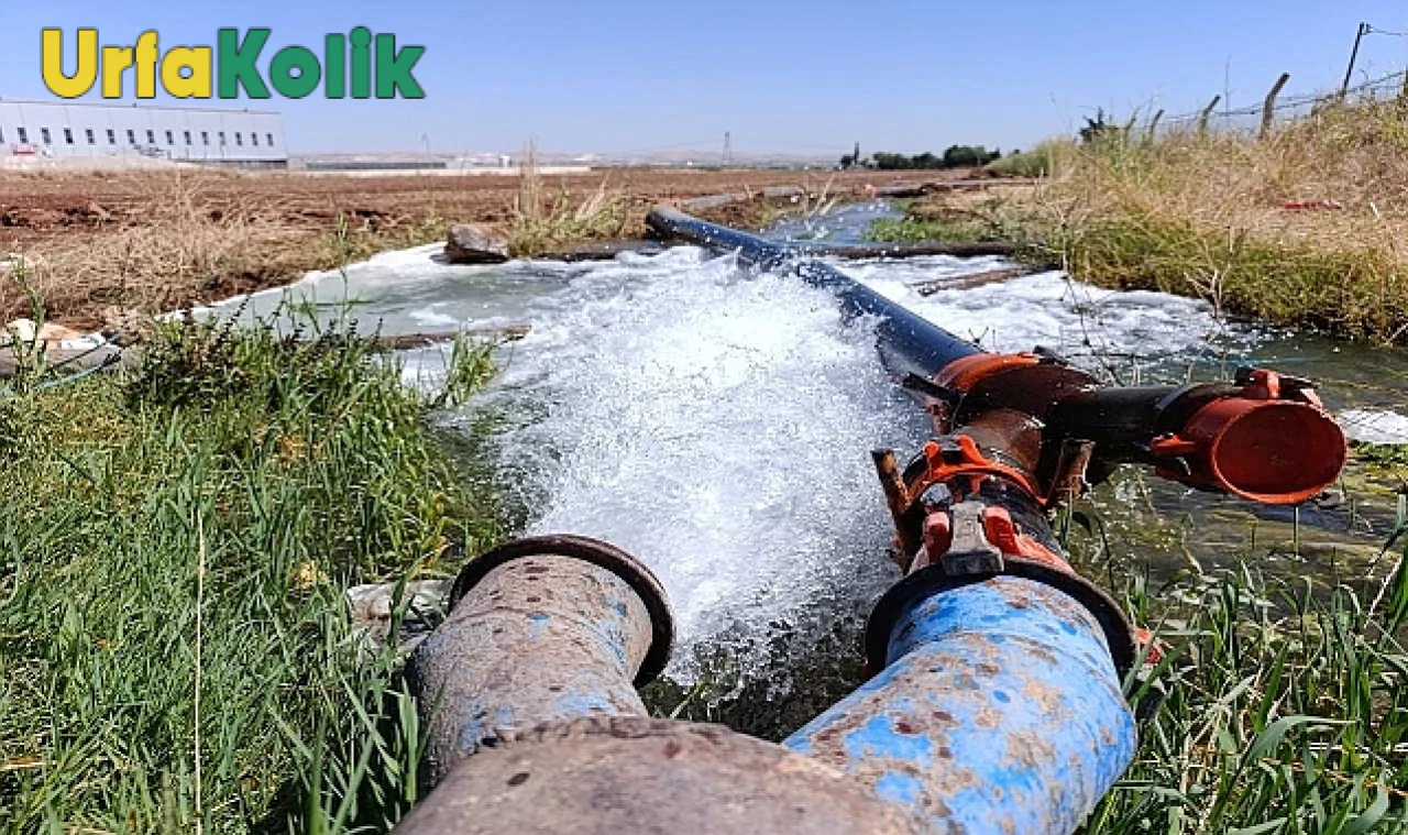 Elektrik Hırsızlığı Türkiye'deki Elektrik Arzını Ciddi Anlamda Tehdit Ediyor!