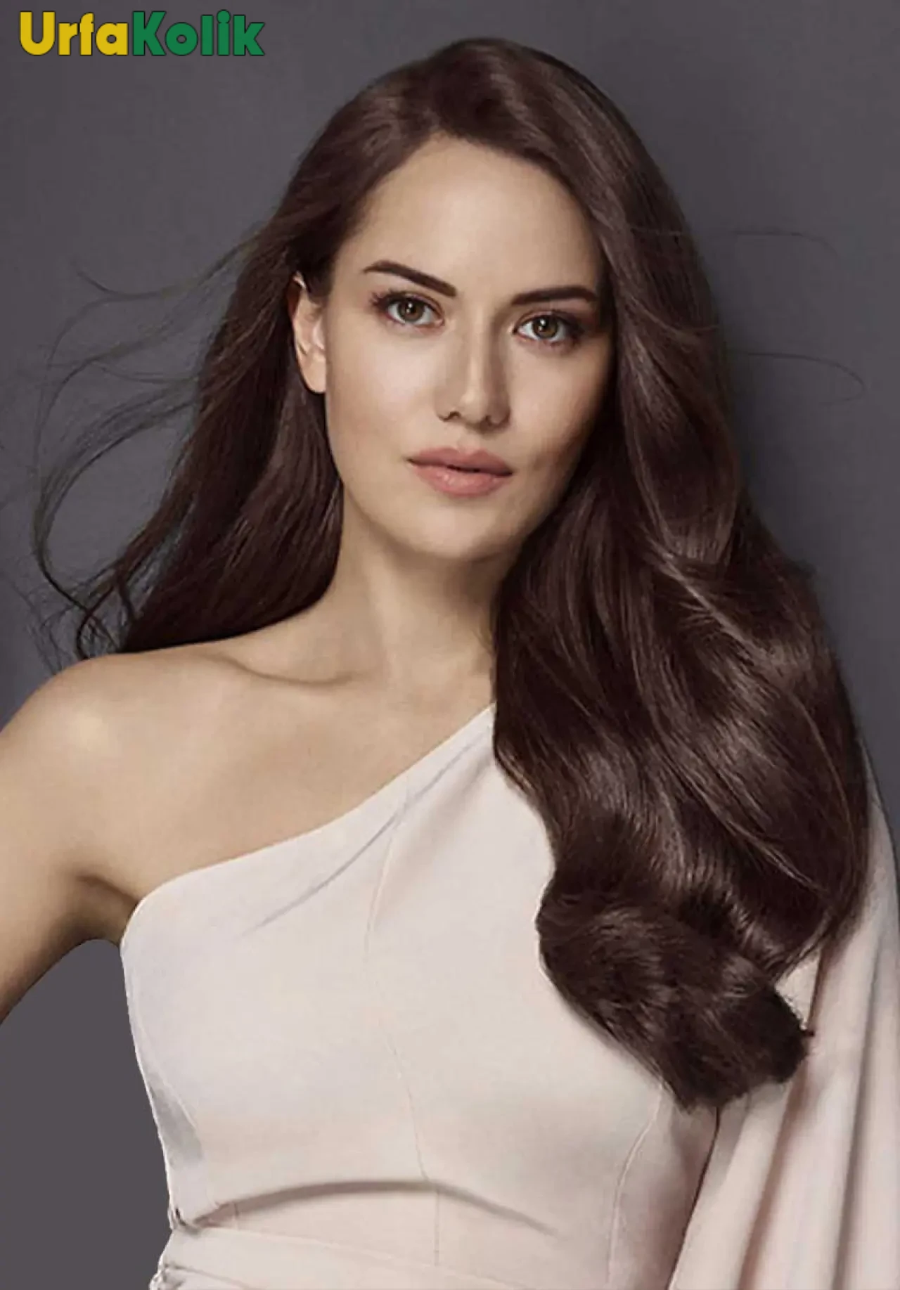 Fahriye Evcen Kimdir?