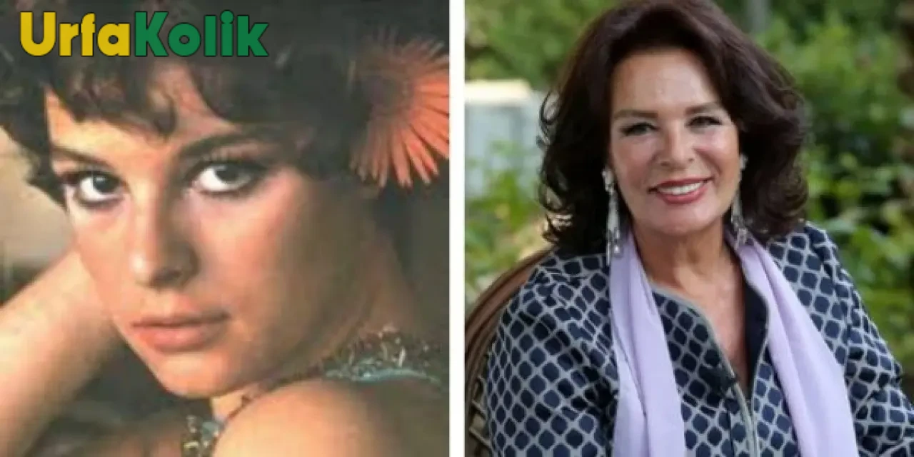 Hülya Koçyiğit Kimdir?
