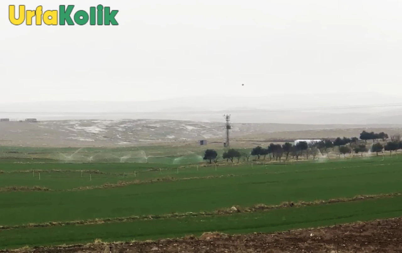 Tarımsal Sulama Abonelerinin Elektrik Faturası Borçları Rekor Seviyeye Ulaştı!