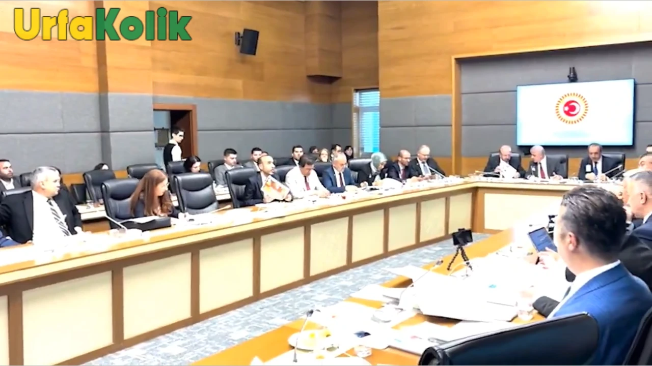 Vekil Şenyaşar'dan Çağrı: Urfa'da Elektrik Sorunlarına Son Verilmeli