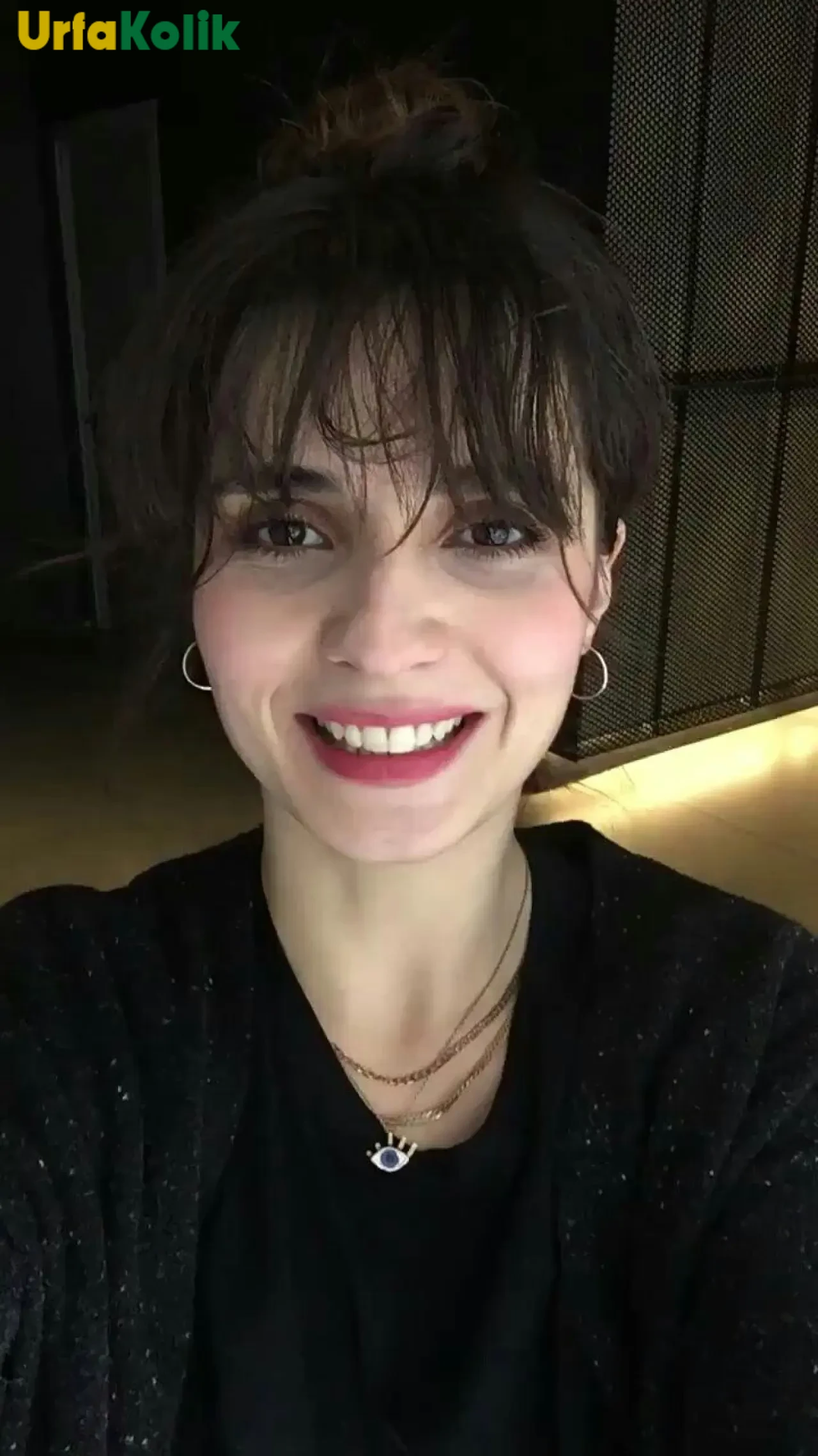 Meriç Aral Kimdir?