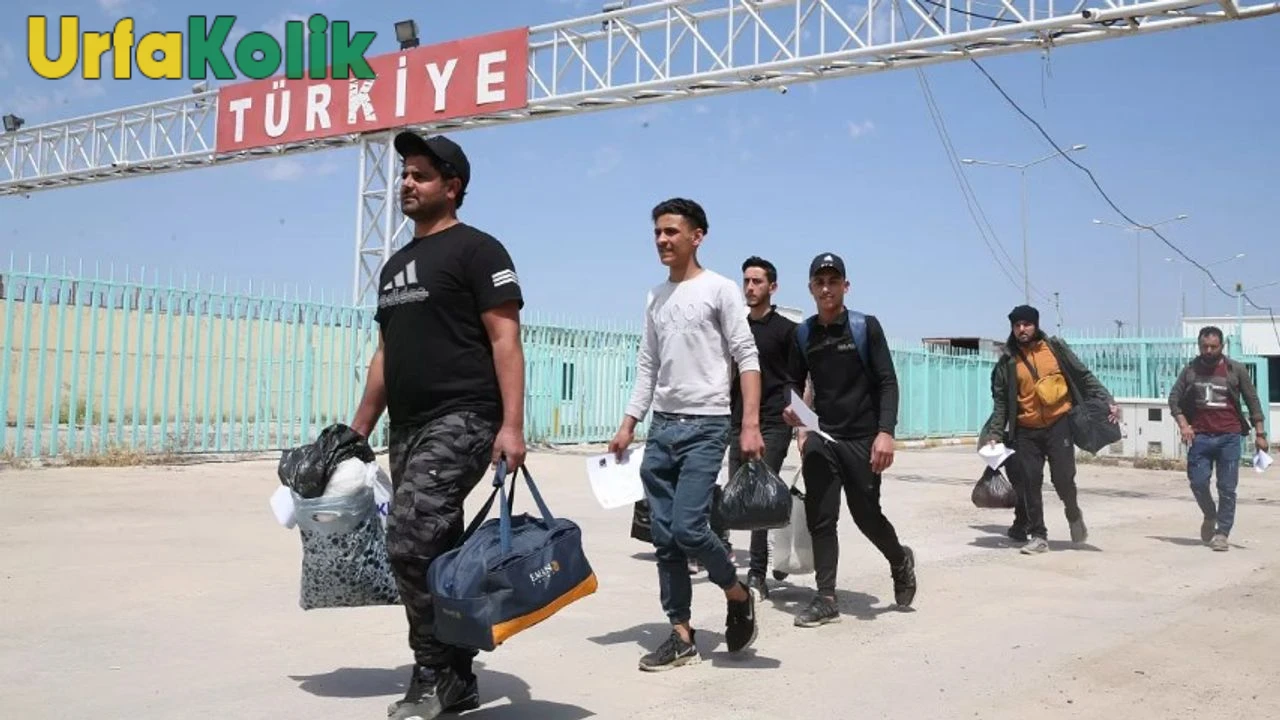 Suriyeli Mülteciler, Türkiye'ye Minnettarlıkla Geri Dönüş Yaptılar