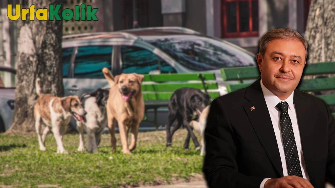 Vali Şıldak, 10 belediyeye sert uyarıda bulundu! Kesin tarih belirlendi.