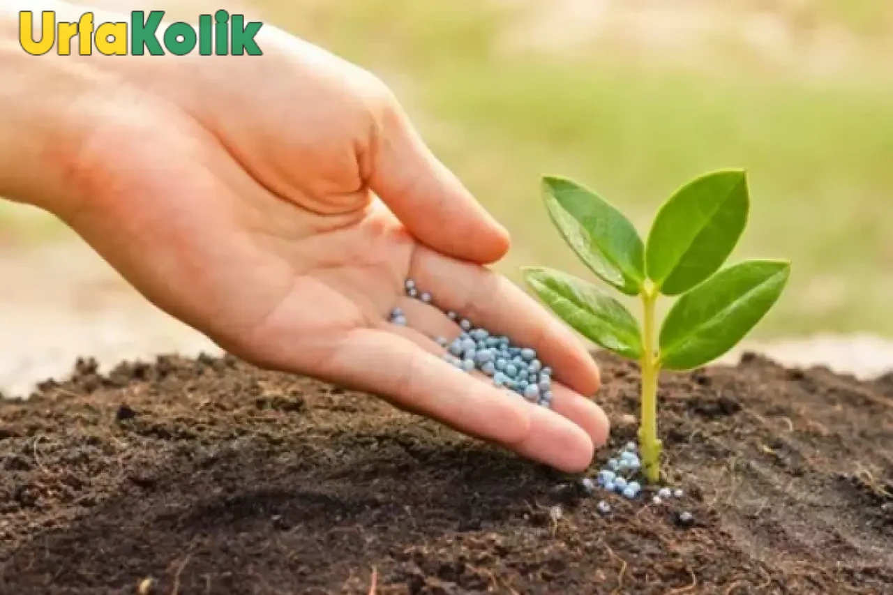 Şanlıurfa'da Verimli Tarım Eğitimi Yolda!