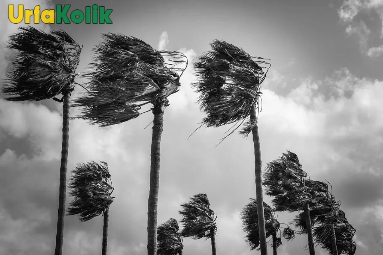 Şanlıurfa'da Meteorolojiden Sarı Kod Uyarısı!