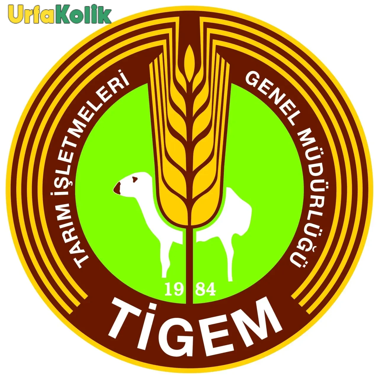 Ceylanpınar Tarım İşletmesi Genel Müdürlüğü (TİGEM), İthalat Koşullarını Belirledi!