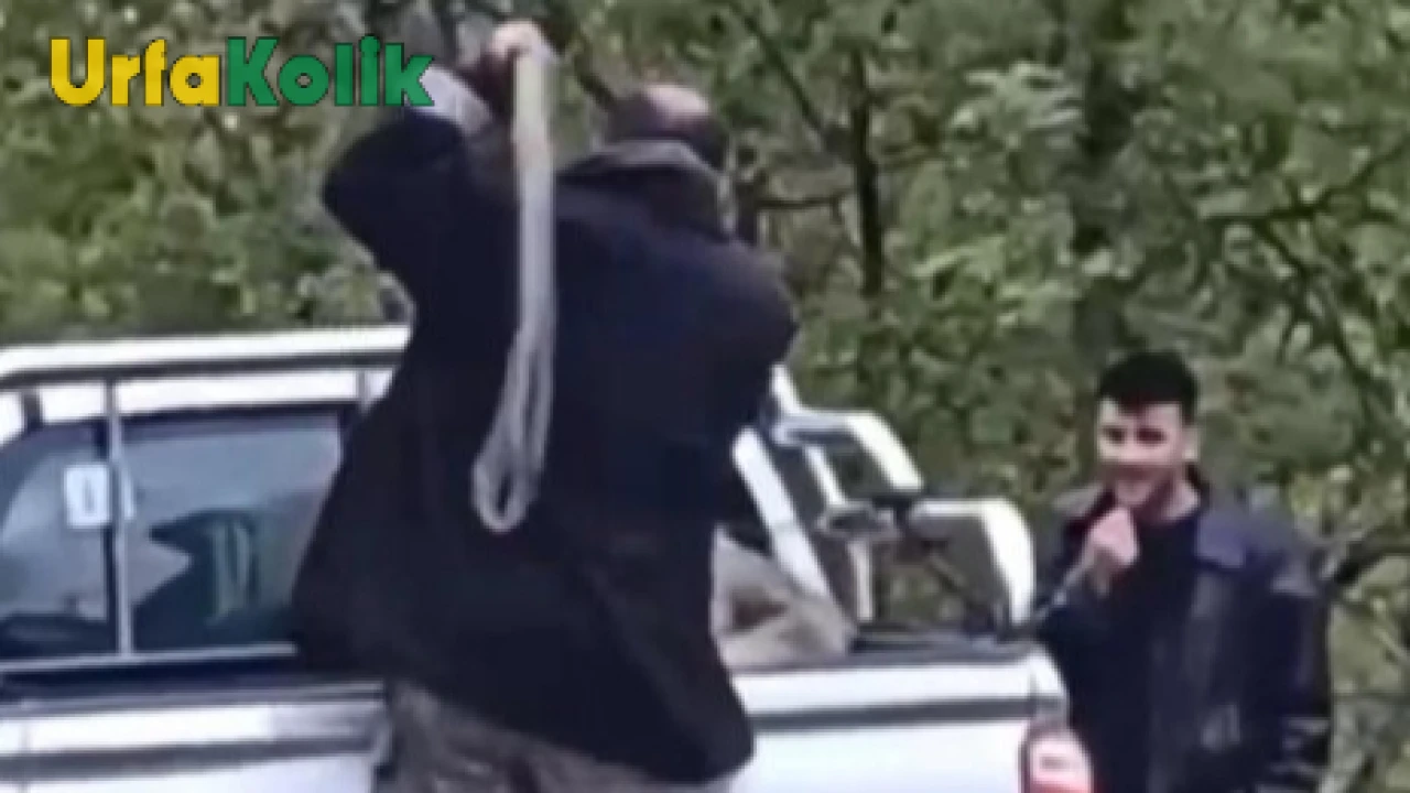 Trabzon'da köpeğe işkence eden şahıs jandarma tarafından yakalandı.