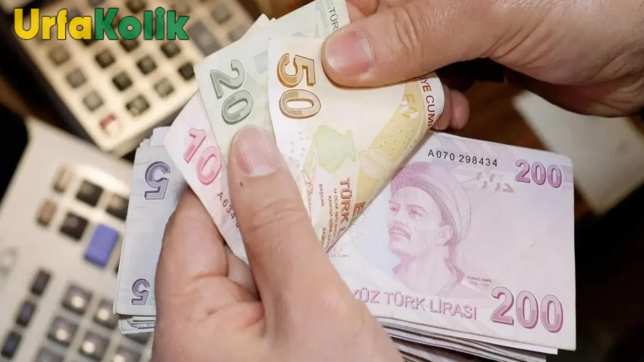 Her ay 5 bin hesaba ödeme yapılacak! Başvurular açıldı