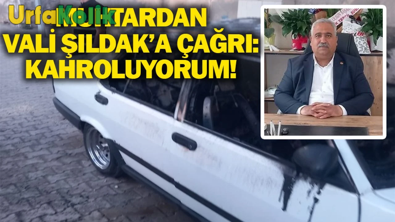 Muhtarın Vali Şıldak'a Yönelik Çağrısı: Kahroluyorum!
