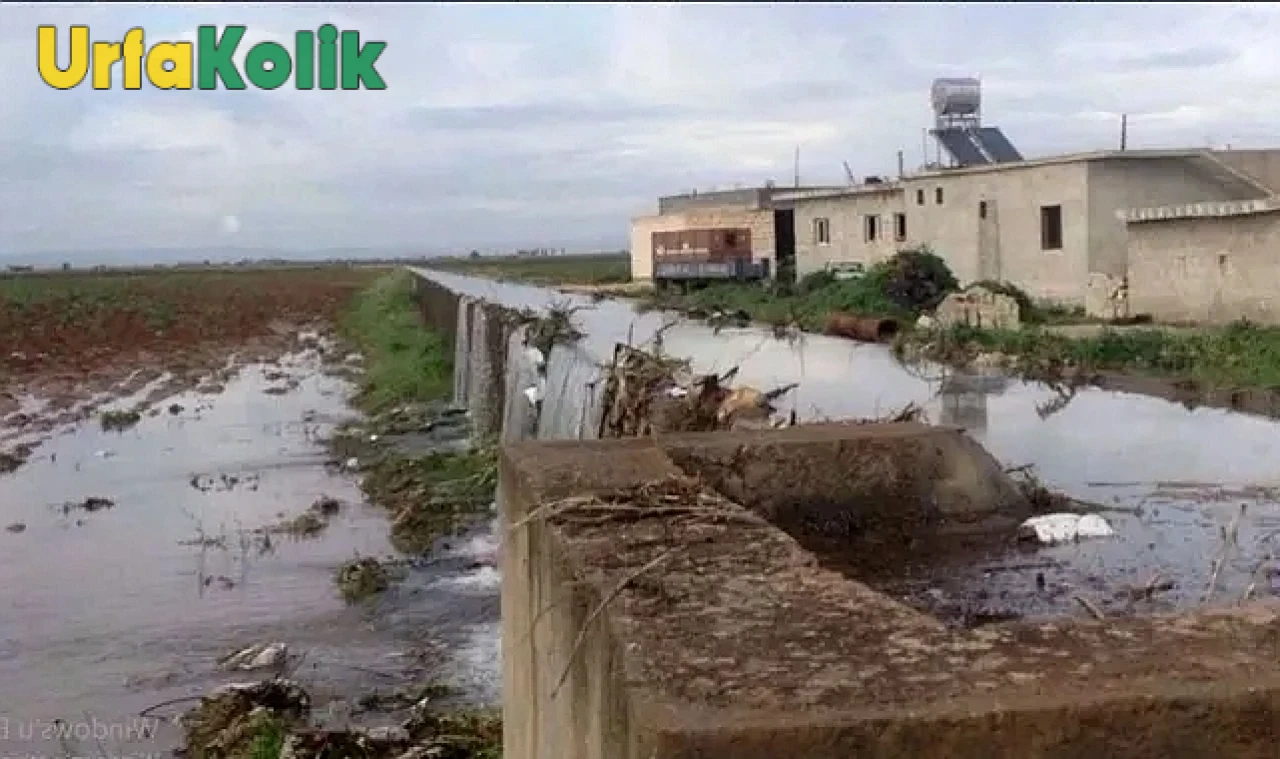 Şanlıurfa'da Tarım Alanlarının Betonlaşması Eleştirisi: ''Toprakları eski haline getirecek misiniz?''