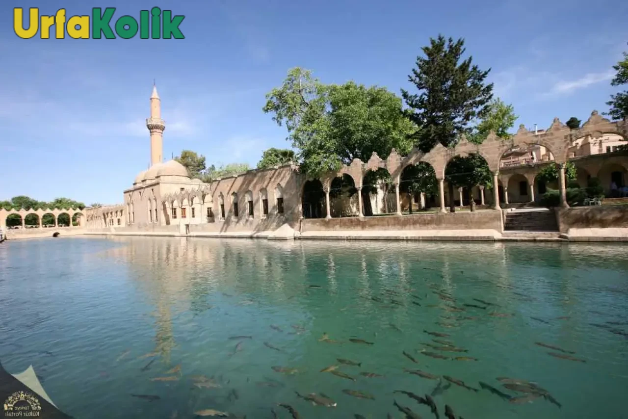 Balıklıgöl'ün Gizemini Çözen Şaşırtıcı Bilimsel Bulgular