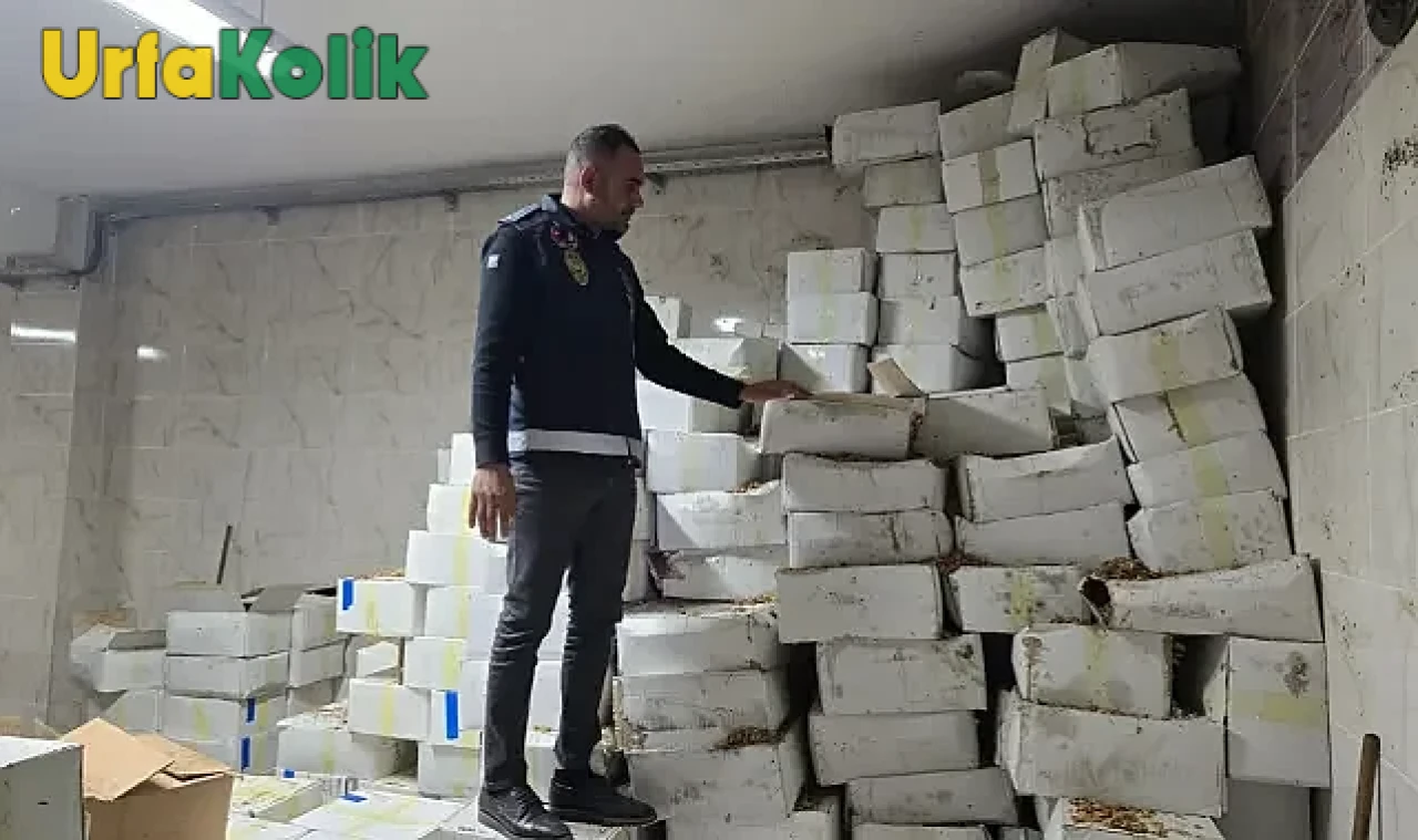 Şanlıurfa'da Baklava İmalatçısının Deposunda Bozuk Ceviz Skandalı!
