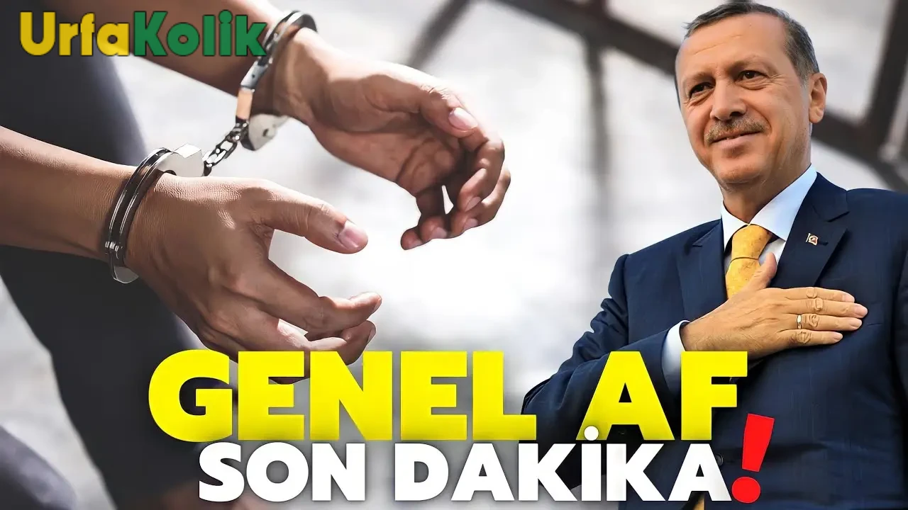 Genel Af Yasası Meclis Gündemine Girdi, Detaylar Belli Oldu!