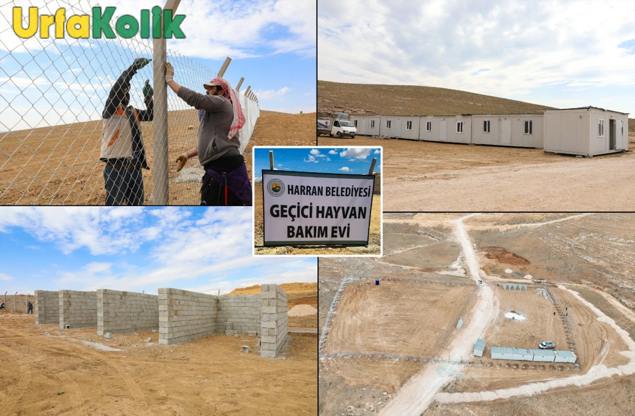 Harran Belediyesi Hayvan Bakım Evi Ve Doğal Yaşam Alanı İnşa Ediyor