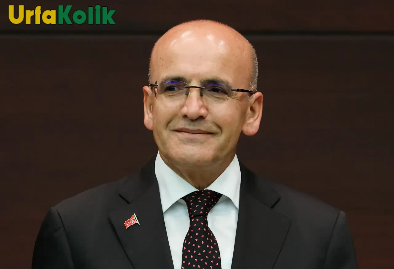 Mehmet Şimşek Kimdir