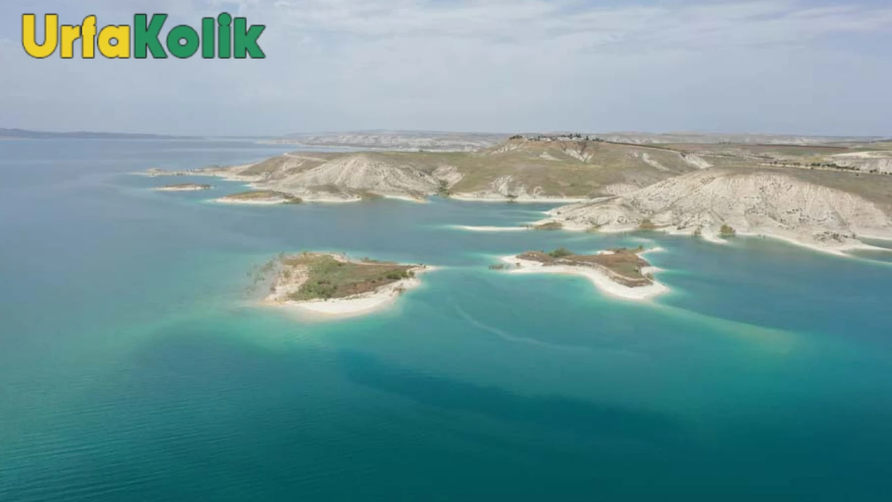 Adıyaman'daki ada, yüzlerce martı için eşsiz bir yuva haline geliyor.
