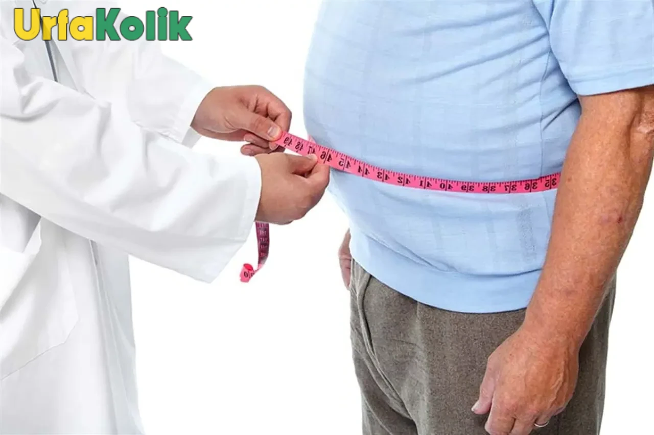 Obezitenin Küresel Tehlikesi: Dr. Opan, Sağlık Uzmanlarına Uyarıyor!