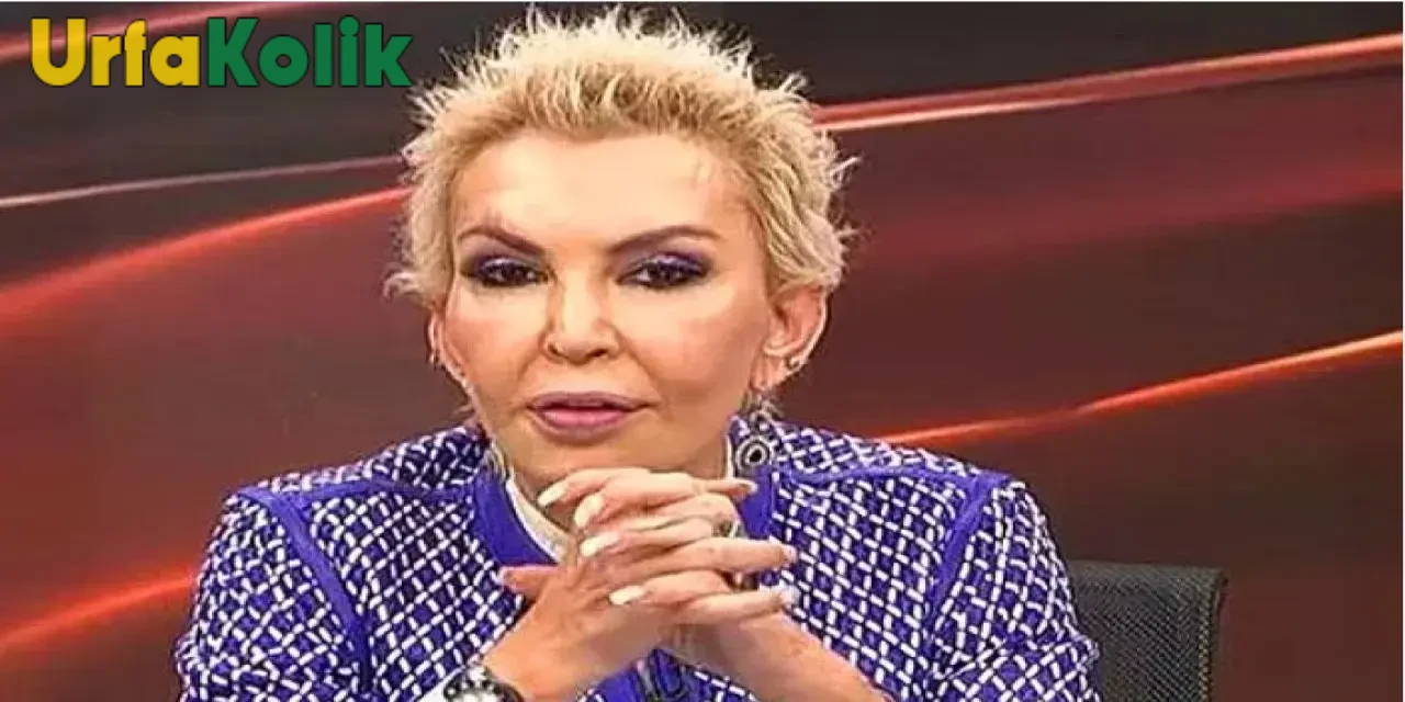Seyhan Soylu  Kimdir?