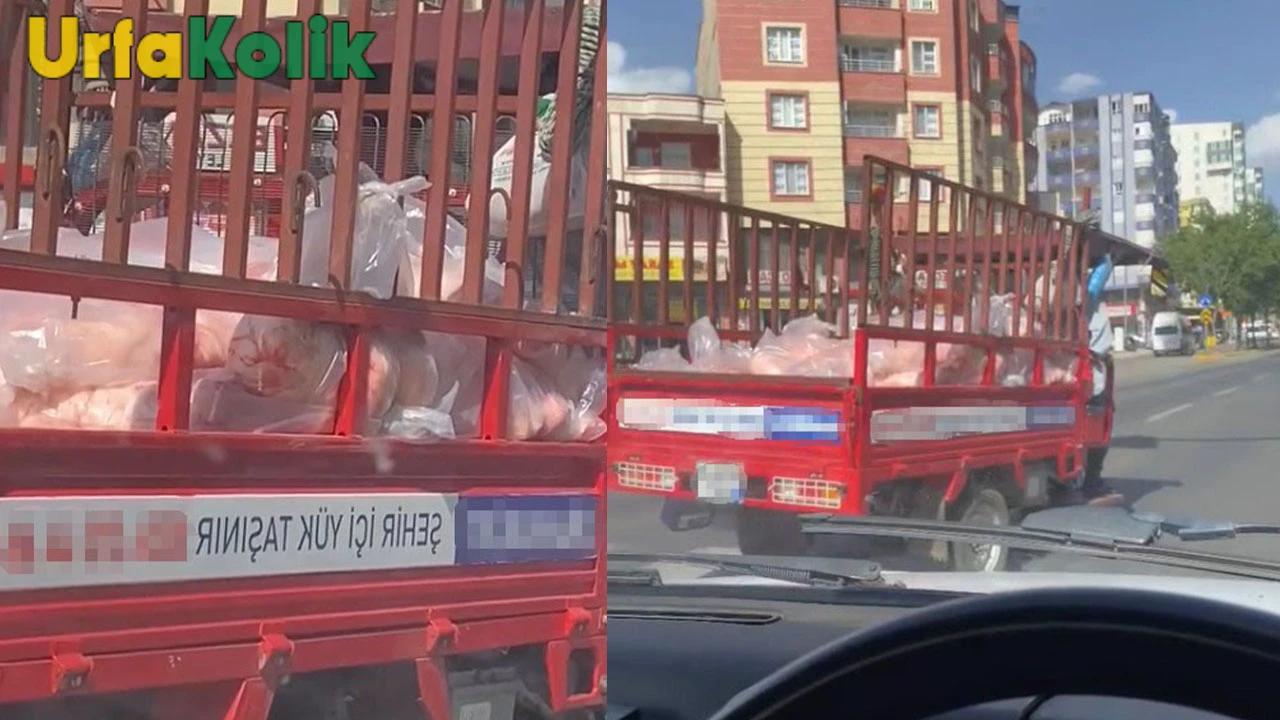 Siverek'te yaşanan et skandalı: Kamyonetin açık kasasında et taşındı!