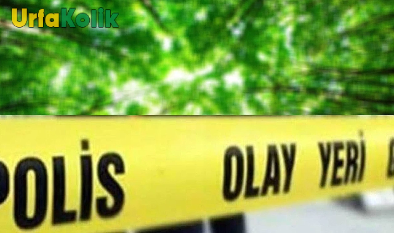 Şanlıurfa'da Dehşet Verici Bir Olay: Ormanlık Alanda Bir Kişi Ölü Bulundu