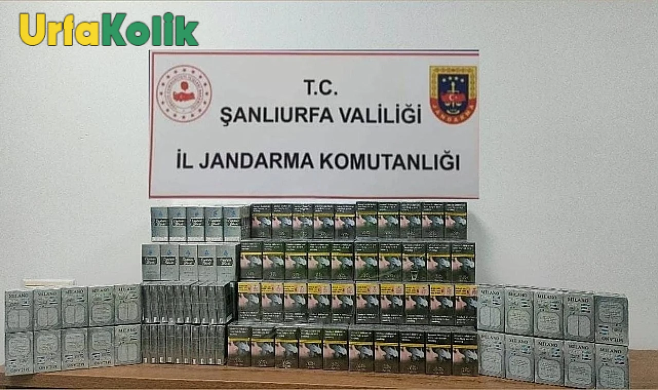 Şanlıurfa'da Kaçakçılık Operasyonunda 980 Paket Ele Geçirildi, 3 Şüpheli Tutuklandı