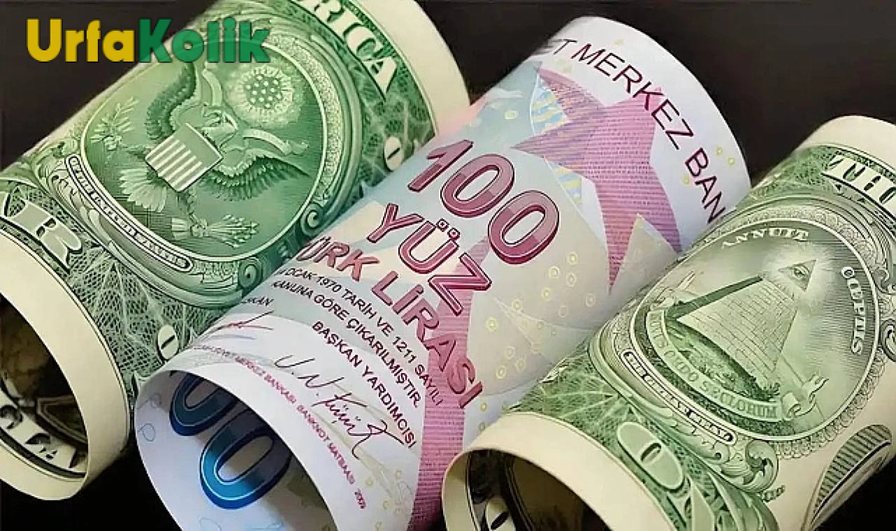 Dolar/TL Kuru Ne Kadar?
