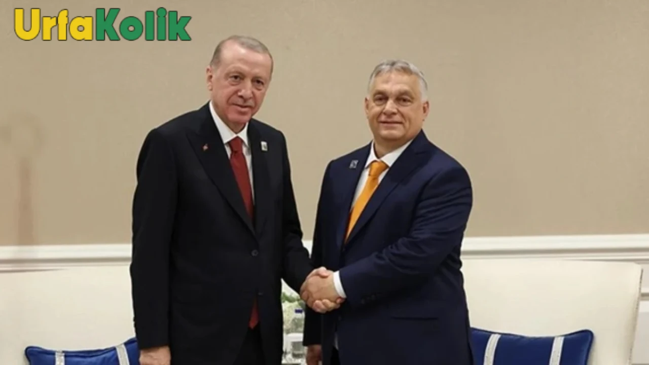 Erdoğan, Macaristan'da Türk Akımı projesine destek için - Orban teşekkür etti.