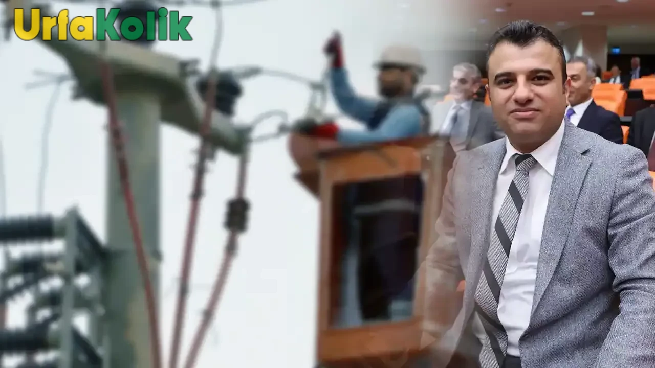 Öcalan'ın çağrısıyla: Şanlıurfa ve çevresindeki elektrik kesintileri incelenecek