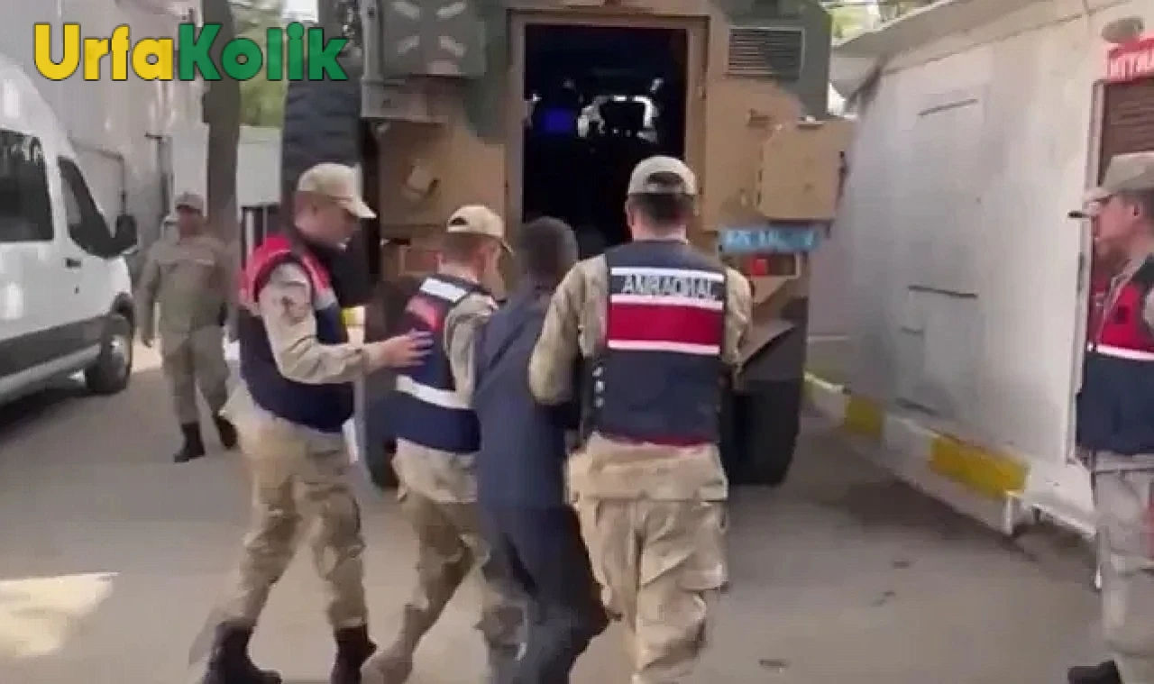 Şanlıurfa Jandarması, kaçak suçlulara yönelik büyük bir operasyon düzenledi.