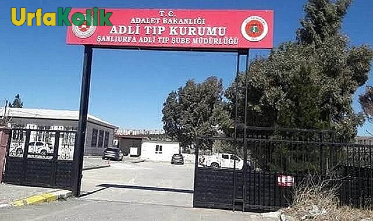 Şanlıurfa'da Meydana Gelen Trafik Kazasında Bir Genç Hayatını Kaybetti!
